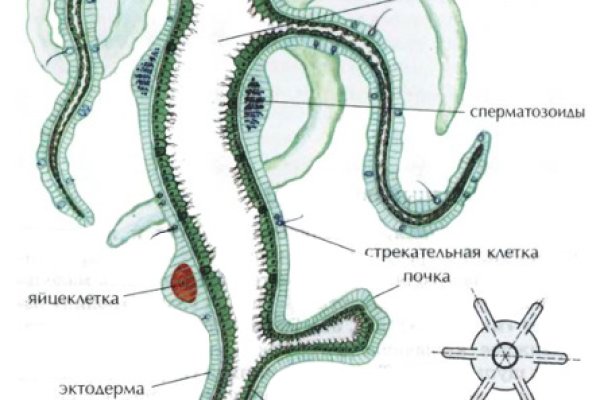 Как зарегистрироваться на кракене из россии