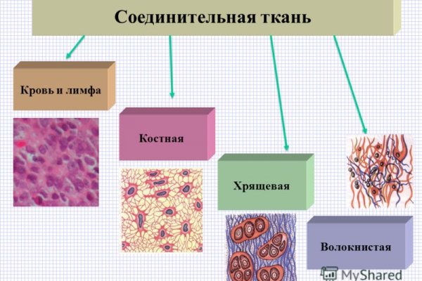 Кракен основная ссылка onion